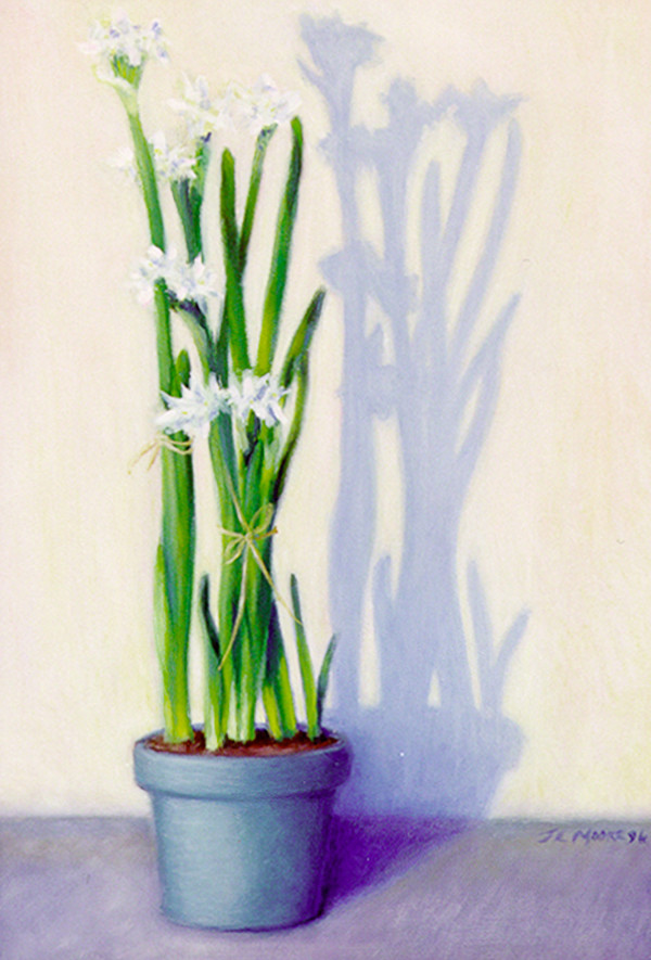 Paper Whites by Janice L. Moore