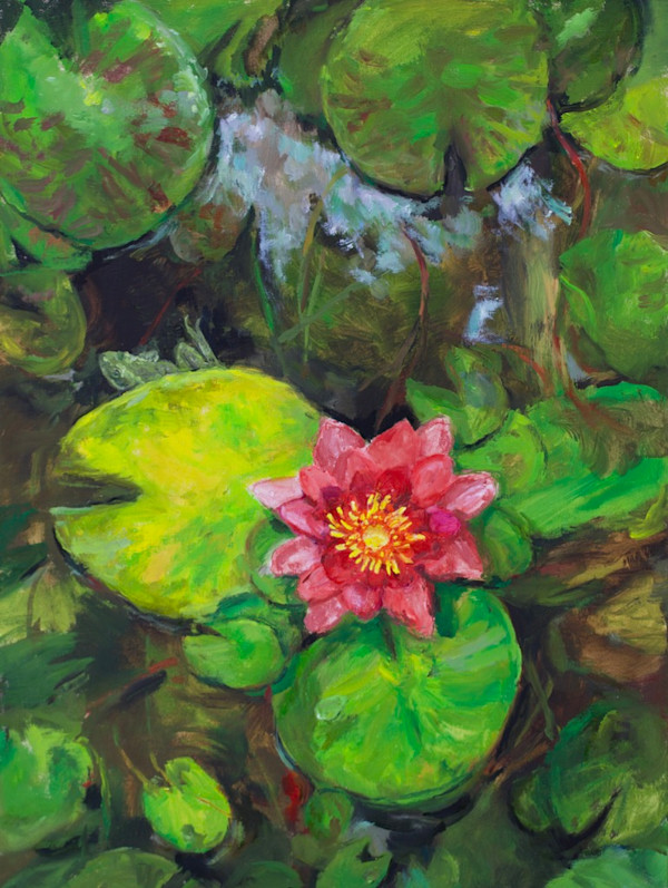 Water Lily by Cathy VanVoorhis, Image 1.