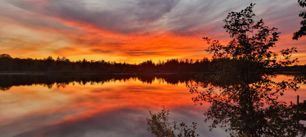 Fire in the Sky by Heather Simkiss