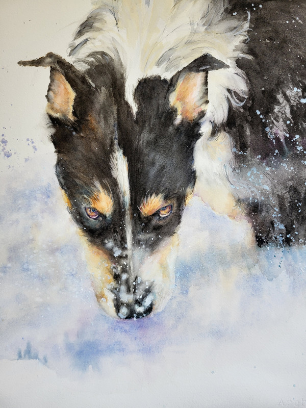WATERCOLOR WINNER – Nellie by Joan T. Miller