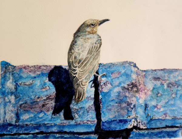 Bird by Miwa Kitahata, wife of Jean-Marc Fontaine