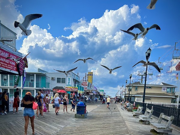 Jersey Shore by Kathleen Ignatoski