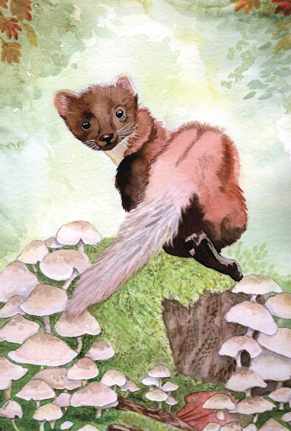 Foraging Martin by Jennifer Carson