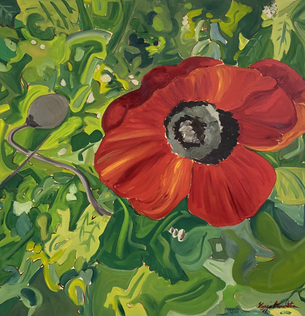 Poppy by Maggie Clifford-Bandstra