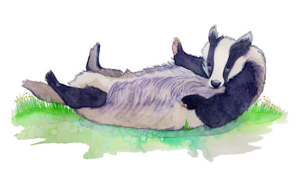 Roly-Poly Badger by Jennifer Carson