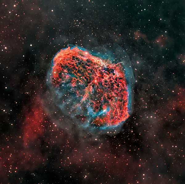 The Cosmic Mind by Michael Shapiro, Image 1.