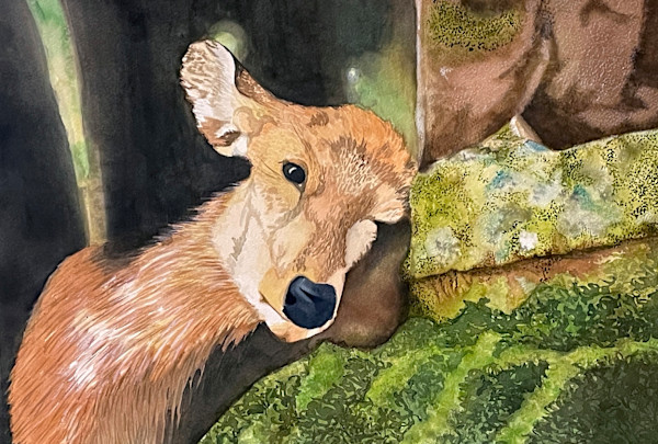 Through the Shadow by Jennifer Carson