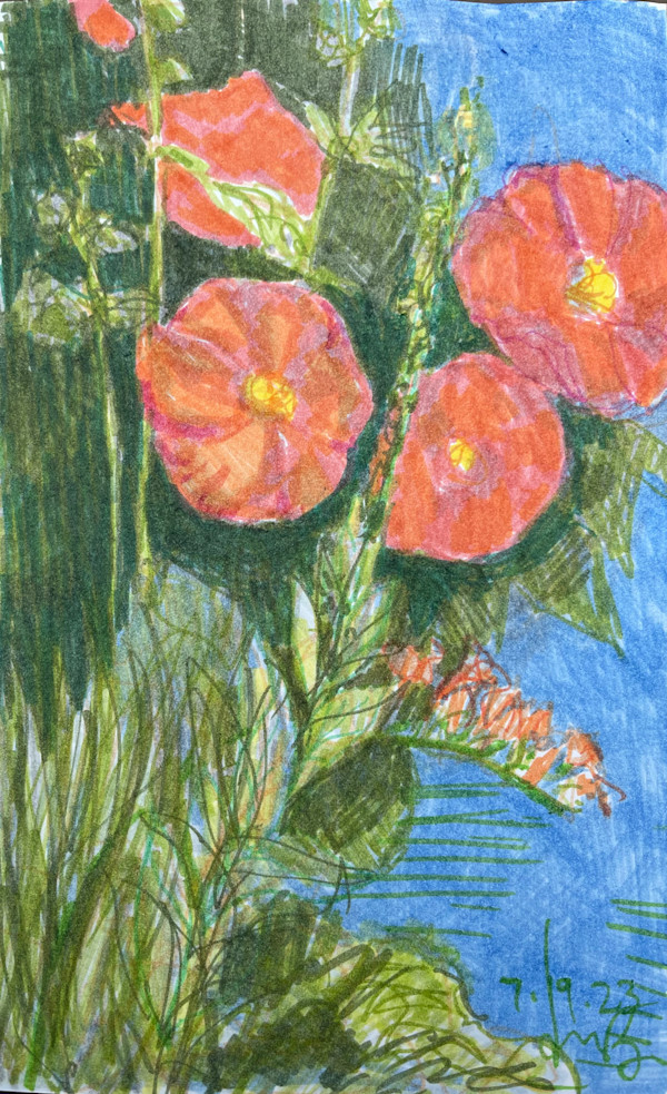 Red Blooming Hibiscus by Denita Benyshek