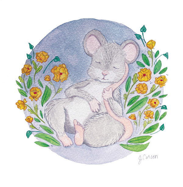 Sleepy Babies – Mouse by Jennifer Carson