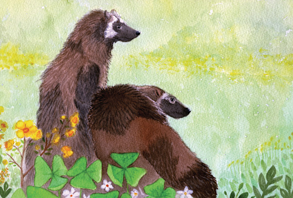 Wolverines in the Wildflowers by Jennifer Carson