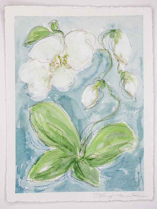 Wild Orchid No. 3 by Elizabeth Bernheisel