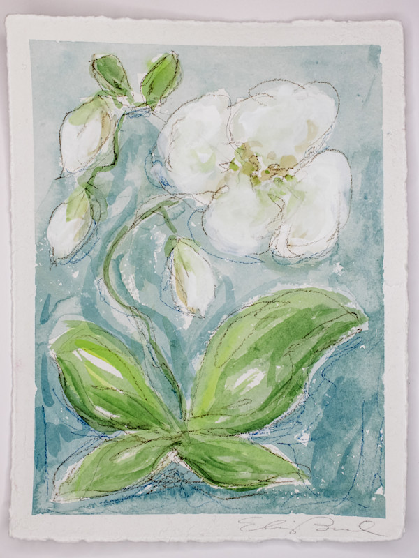 Wild Orchid No. 4 by Elizabeth Bernheisel
