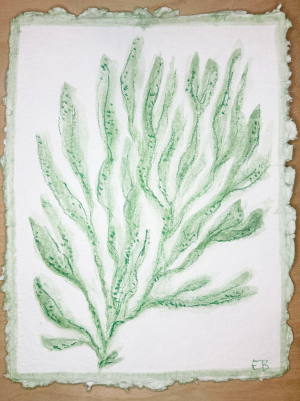Green Sea Kelp No. 4 by Elizabeth Bernheisel