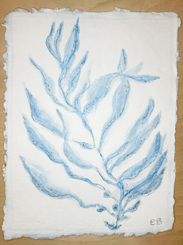 Blue Sea Kelp No. 1 by Elizabeth Bernheisel