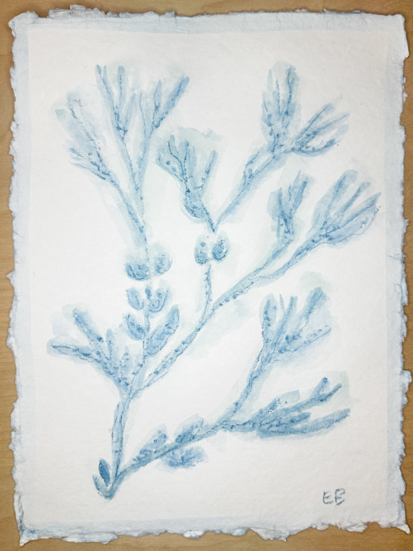 Blue Sea Kelp No. 4 by Elizabeth Bernheisel
