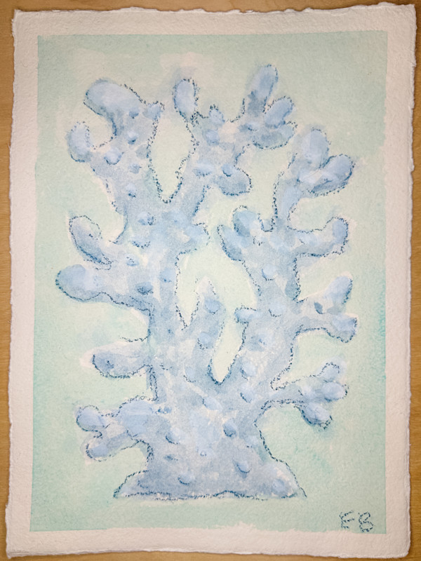 Blue Coral No. 2 by Elizabeth Bernheisel