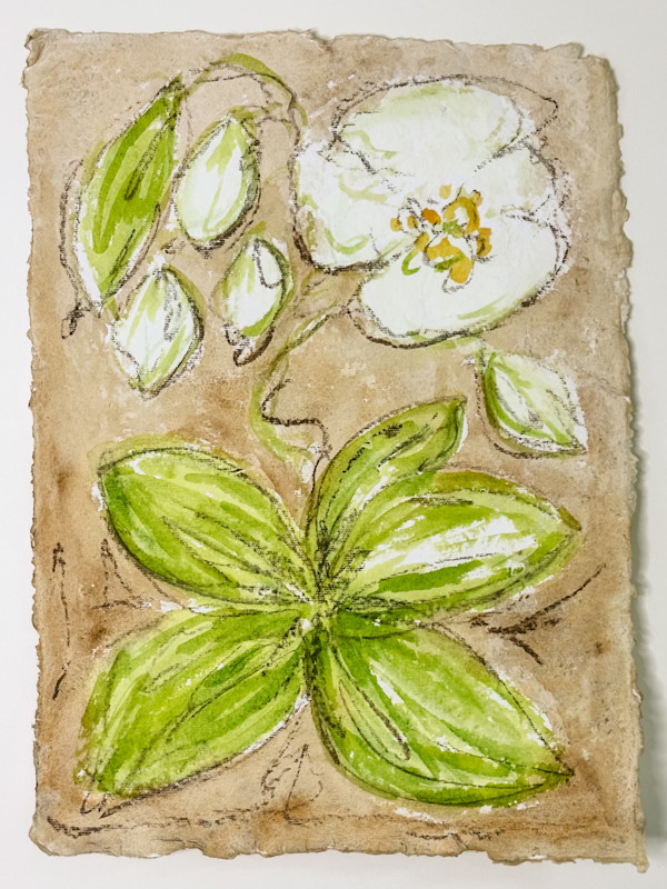 Wild Orchid on Sepia No 1 by Elizabeth Bernheisel, Image 1.