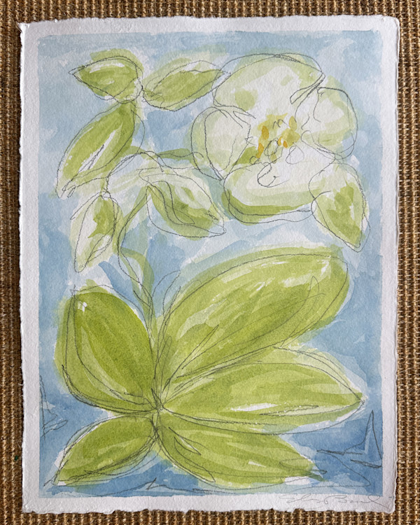 Wild Orchid No. 8 by Elizabeth Bernheisel
