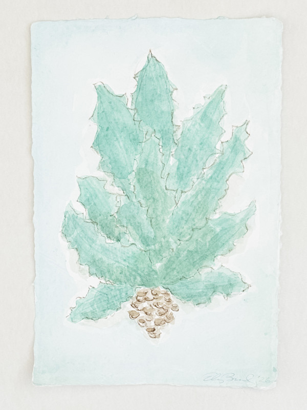 Agave No. 2 by Elizabeth Bernheisel, Image 1.