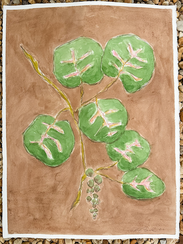 Sea Grape on Brown No. 2 by Elizabeth Bernheisel, Image 1.