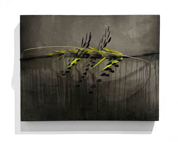 Canary (Still) in the Coal Mine by Natale Adgnot