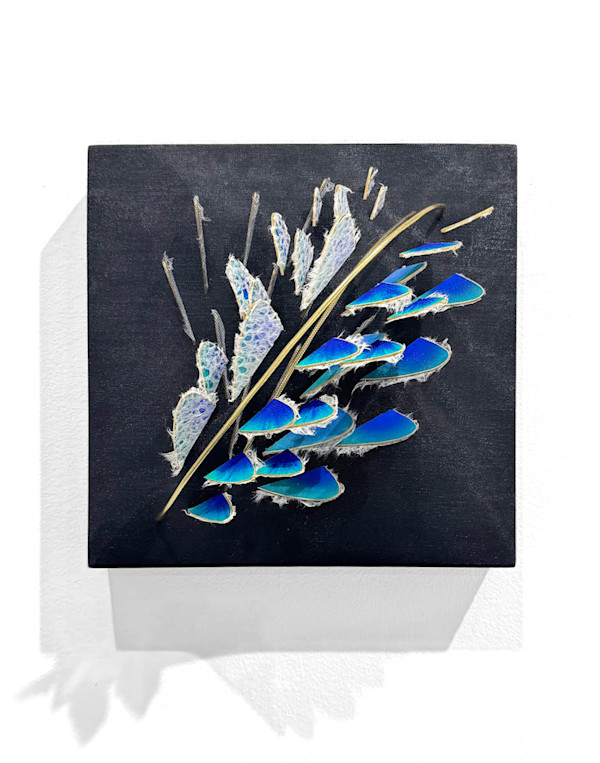 Magpie Feathers by Natale Adgnot