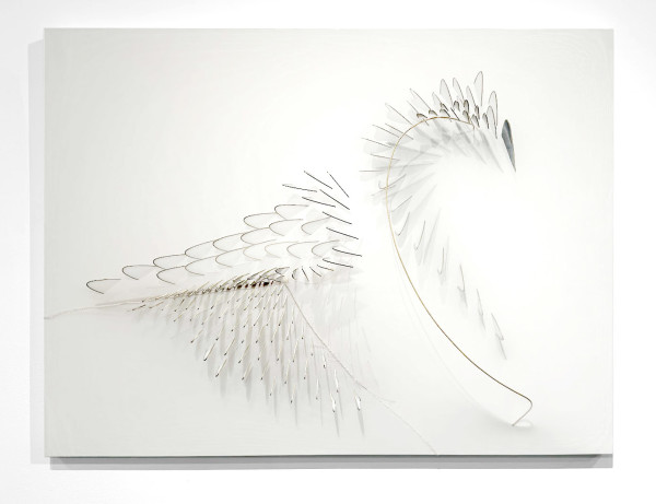 Swan Song by Natale Adgnot