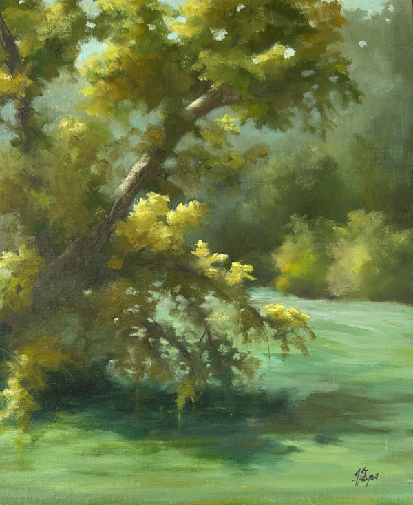 Afternoon Along the Mulberry River by Julie Gowing Hayes