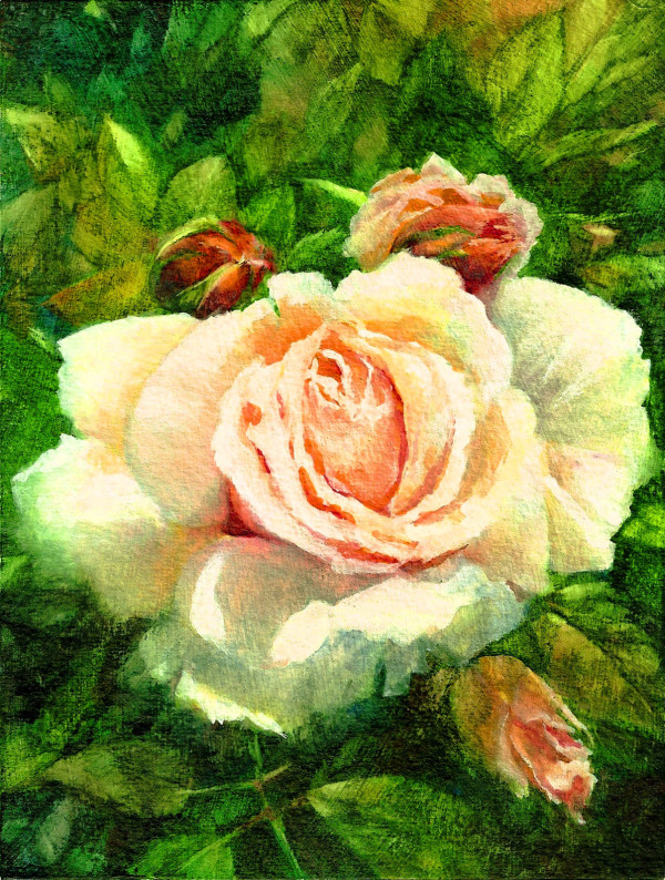 Blooming Beauty by Julie Gowing Hayes