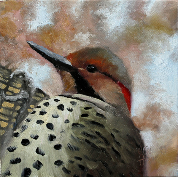 Northern Flicker by Julie Gowing Hayes