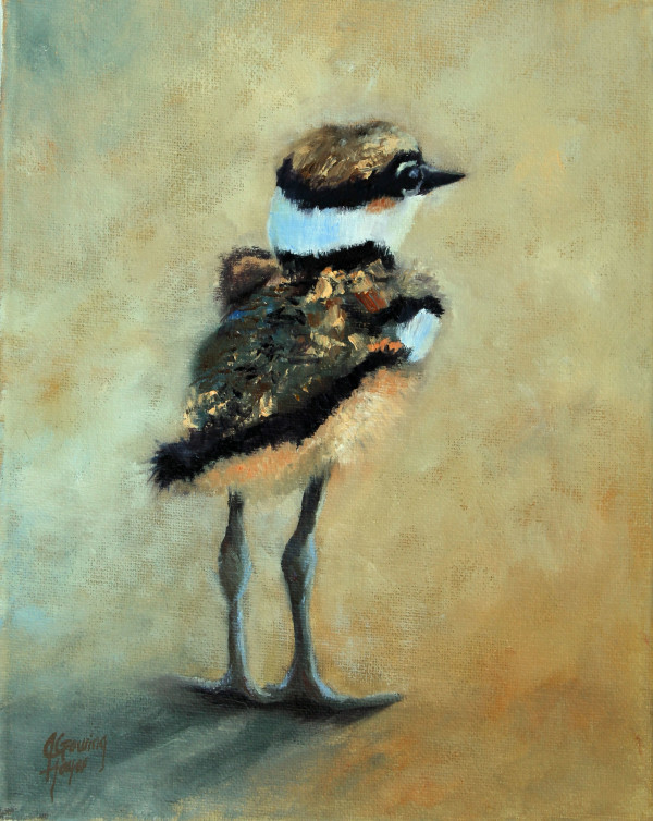 Baby Killdeer, a Momentary Pause by Julie Gowing Hayes