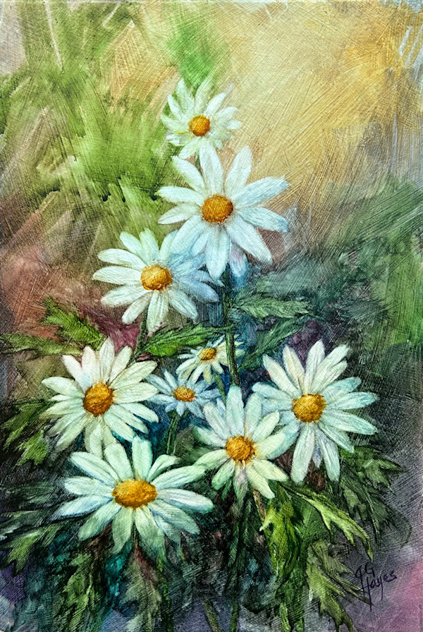 Marguerites by Julie Gowing Hayes