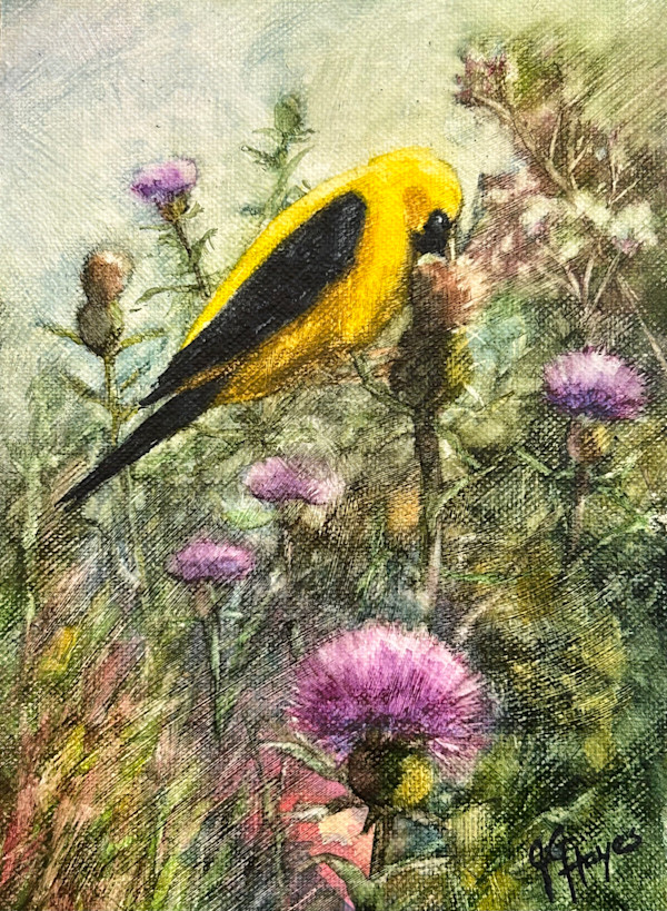 American Goldfinch by Julie Gowing Hayes
