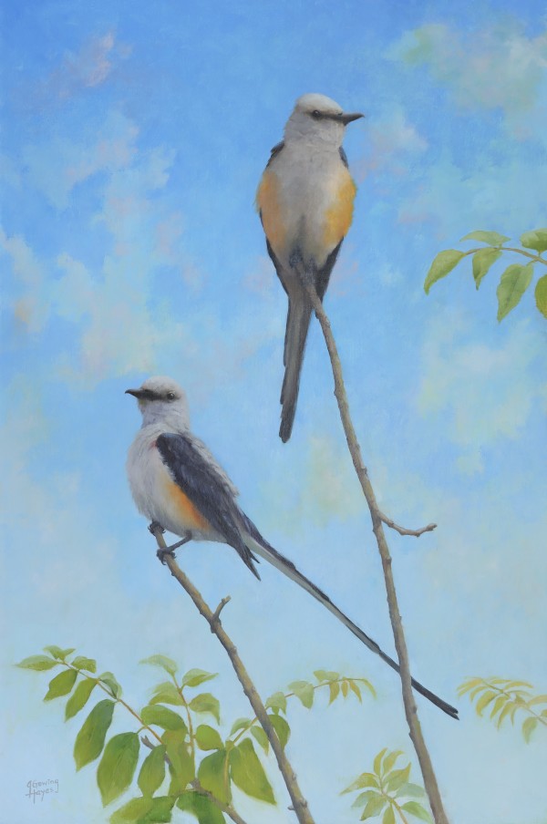 The Sky's the Limit, Scissortail Flycatchers by Julie Gowing Hayes