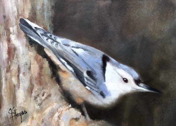 Woodland Forager (White-Breasted Nuthatch female) by Julie Gowing Hayes