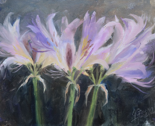 Amaryllis Surprise by Julie Gowing Hayes