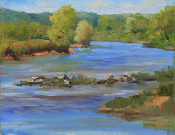 Morning on the White River by Julie Gowing Hayes