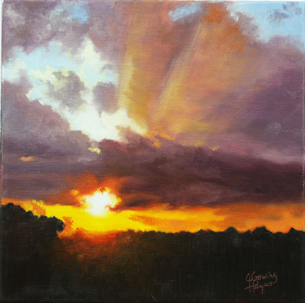 Sunrise Study for Morning Glory by Julie Gowing Hayes