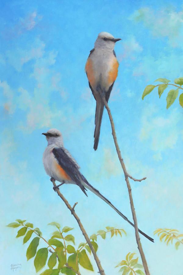 The Sky's the Limit, Scissortail Flycatchers by Julie Gowing Hayes