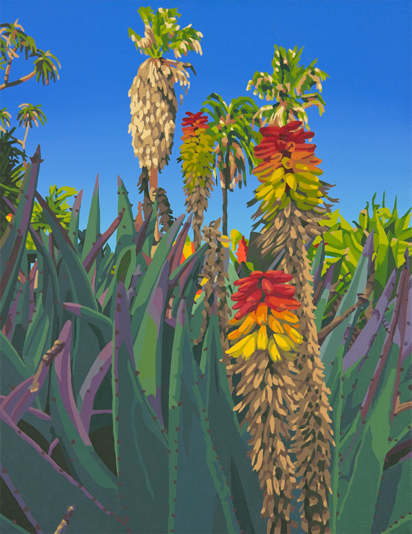 Huntington Aloe Bloom by Lindsey Warren