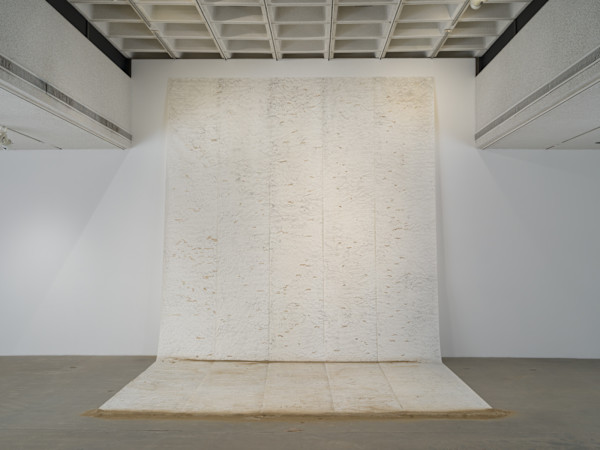 Shifting Baseline by Debra Scacco