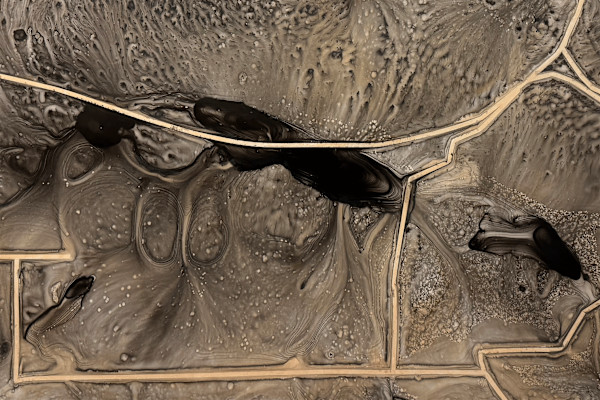 Palimpsest - Detail by Debra Scacco