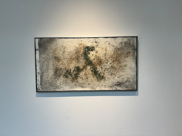 Powell by Debra Scacco, Image 1.