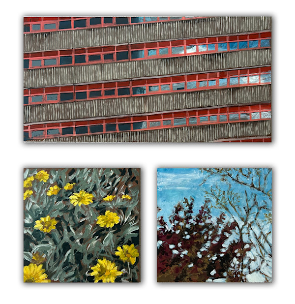 Jewell, daisies and blue skies by Nicholas P Aplin