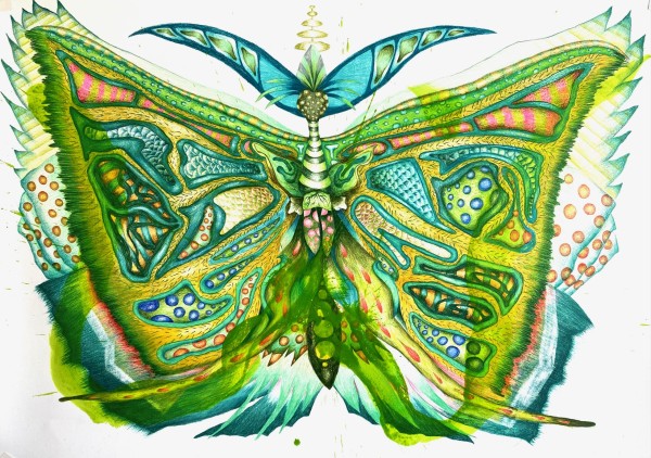 Emerald Moth by Kaye Freeman