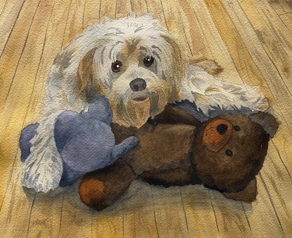 Meli by Cheryl Dinsdale