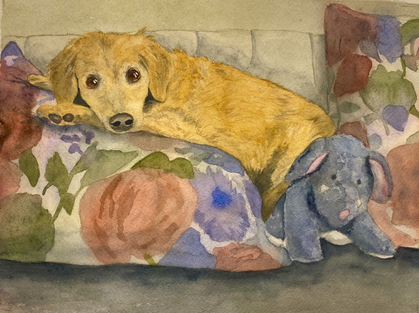 Takoda by Cheryl Dinsdale