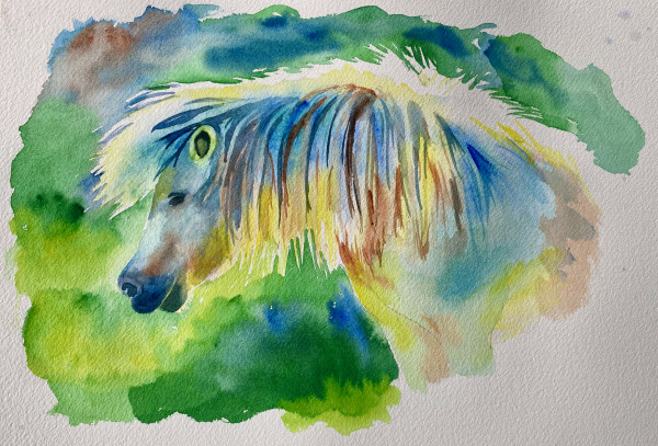 Horse of a Different Color by Cheryl Dinsdale