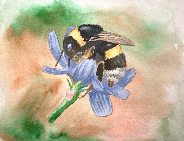 Bumblebee by Cheryl Dinsdale
