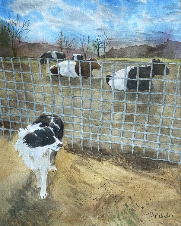 Eddy's Watch by Cheryl Dinsdale